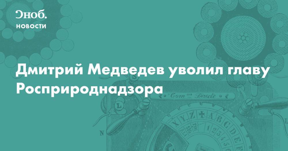 Дмитрий Медведев - Дмитрий Медведев уволил главу Росприроднадзора - snob.ru - Россия - Новости