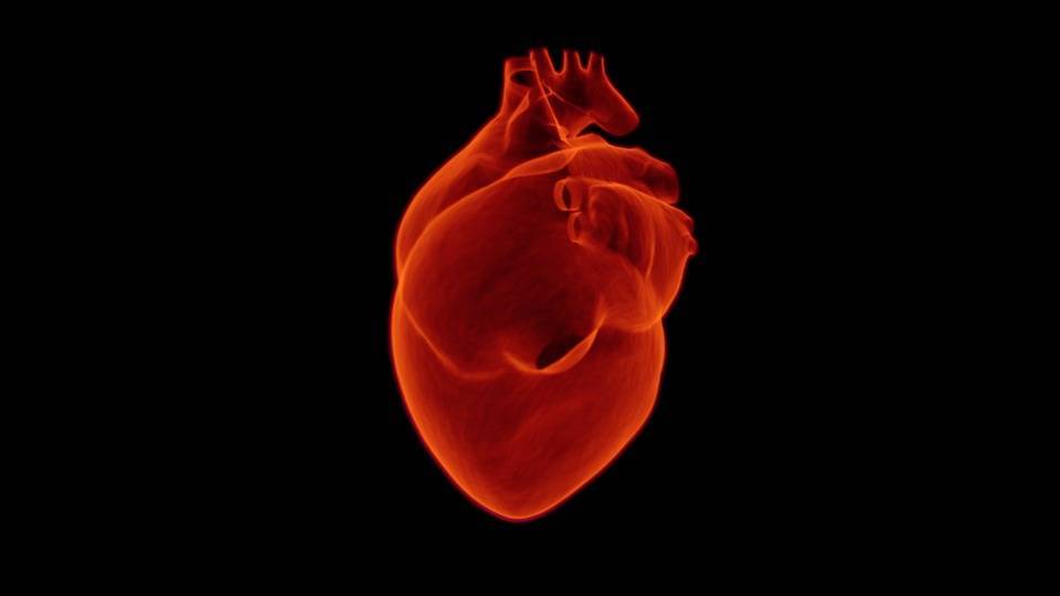 Российские ученые придумали способ полностью восстановить сердце после инфаркта - politexpert.net - Израиль