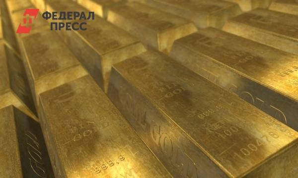 На Алтае золотодобытчикам собираются закрыть доступ к золоту - fedpress.ru - Барнаул - Алтайский край - Экология