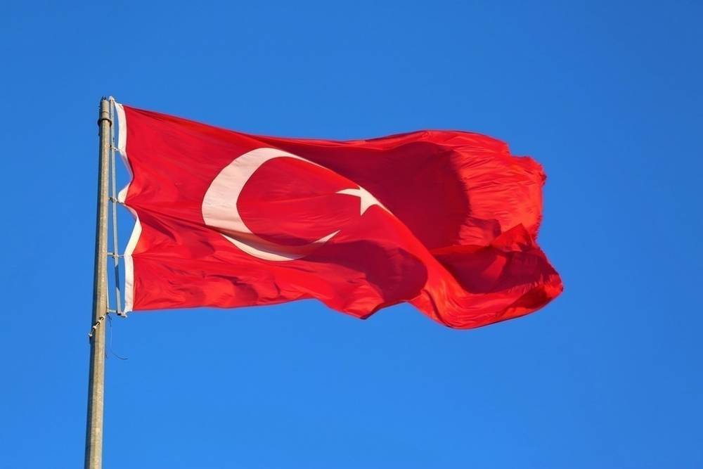 Турцию обвинили в гибели десятков жителей в первый день операции - mk.ru - Сирия - Турция - Кобань