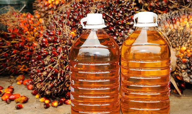 Тигран Саркисян - Евразийский союз предложил России ограничить использование «грязного» пальмового масла - og.ru - Россия