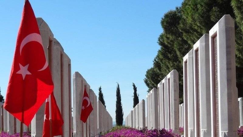 Минобороны Турции отчиталось о захваченных в Сирии целях - polit.info - Турция