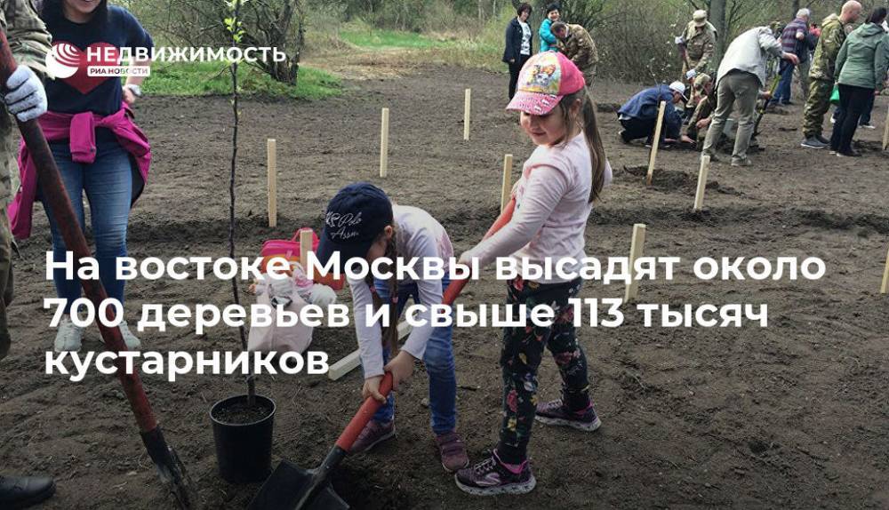 На востоке Москвы высадят около 700 деревьев и свыше 113 тысяч кустарников - realty.ria.ru - Москва