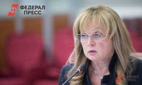 Владимир Путин - Элла Памфилова - Памфилова подтвердила, что Петербург является горячей точкой по нарушениям на выборах - fedpress.ru - Россия - Санкт-Петербург