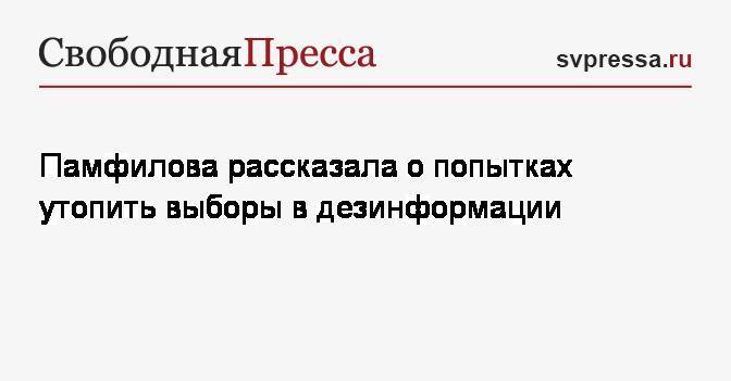 Владимир Путин - Элла Памфилова - Памфилова рассказала о попытках утопить выборы в дезинформации - svpressa.ru - Россия