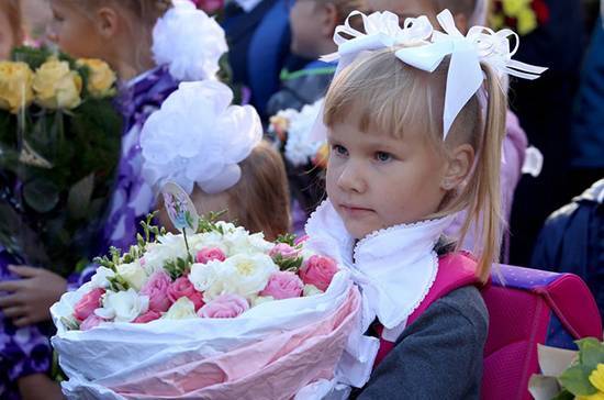Алена Аршинова - В «Единой России» предложили ввести систему электронной записи детей в первый класс - pnp.ru - Россия