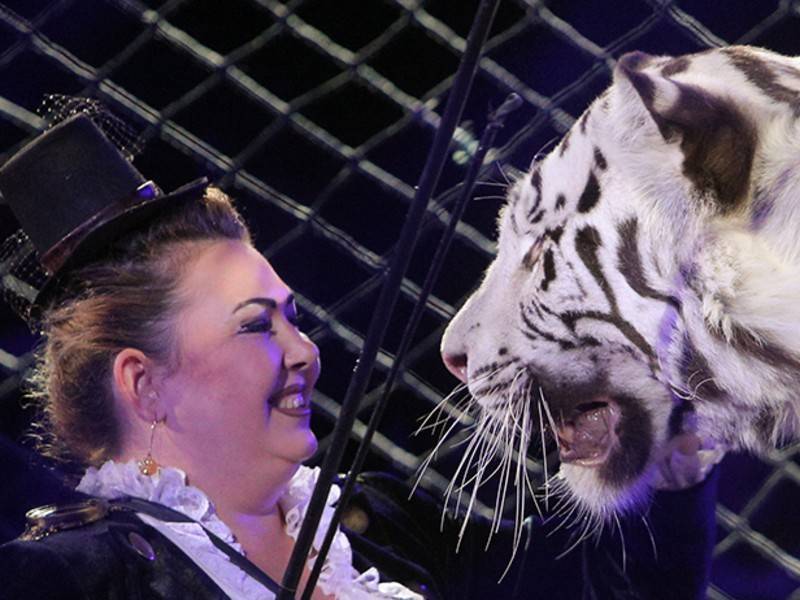 Калифорния запрещает использование в цирках тигров и медведей - news.ru - США - шт. Калифорния