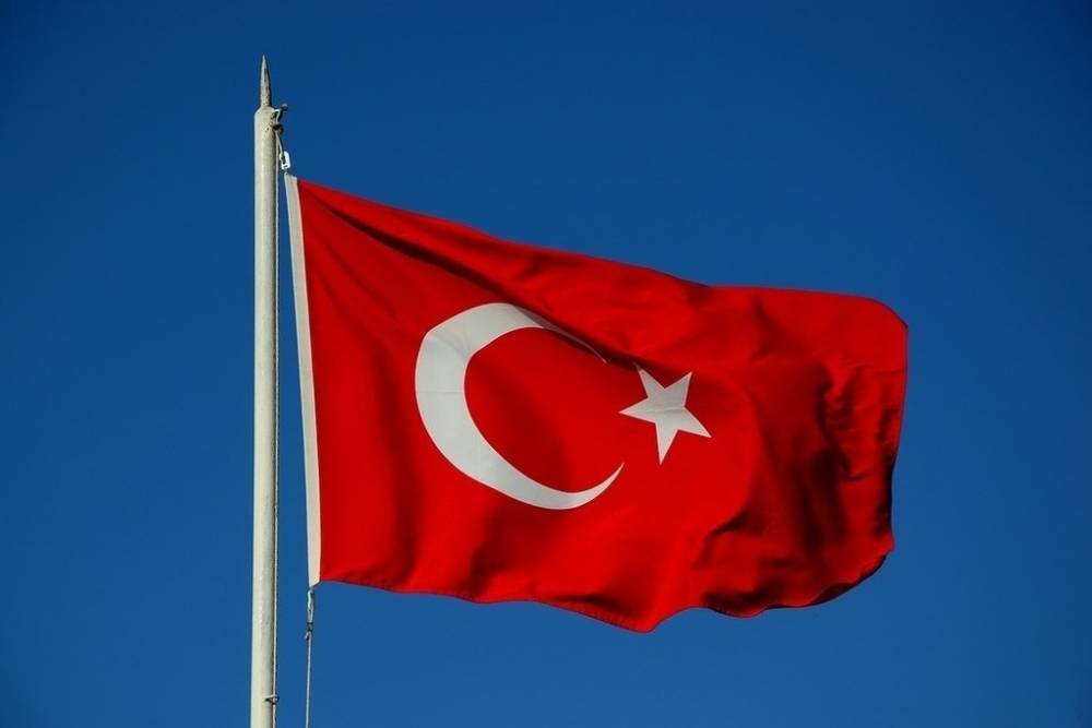 СМИ узнали о гибели 17 турецких военных в Сирии - mk.ru - Сирия - Турция - Рас-Эль-Айн