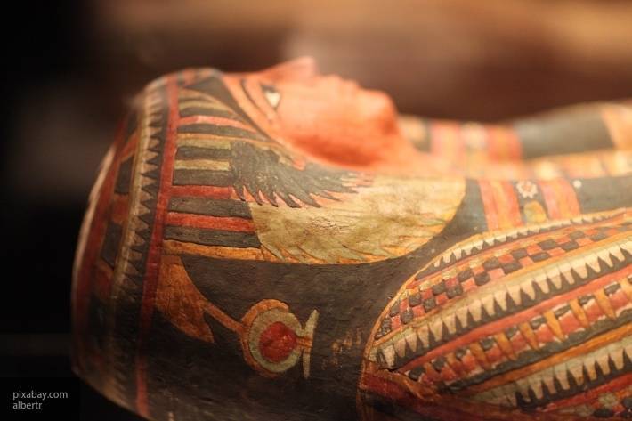 В Египте обнаружили 20 древних саркофагов - newinform.com - Египет