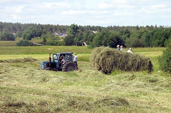 Владимир Кашин - Поправки в закон о сельскохозяйственной кооперации будут рассмотрены до конца октября - pnp.ru