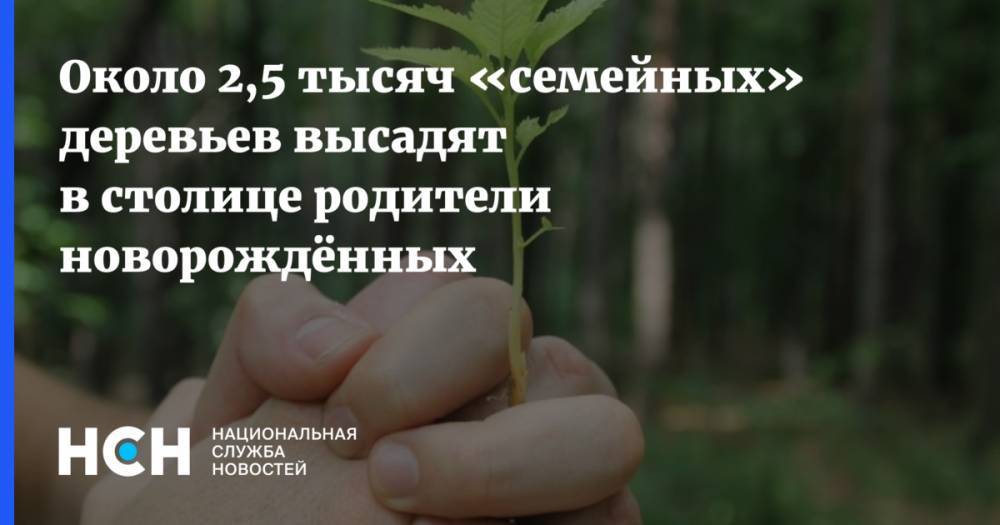 Геннадий Дегтев - Около 2,5 тысяч «семейных» деревьев высадят в столице родители новорождённых - nsn.fm