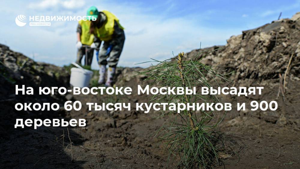 На юго-востоке Москвы высадят около 60 тысяч кустарников и 900 деревьев - realty.ria.ru - Москва - Благоустройство