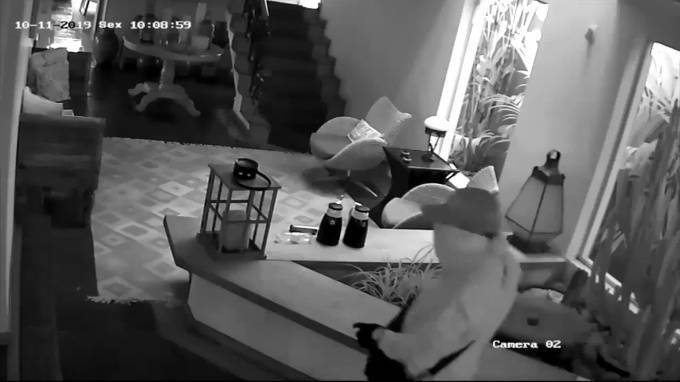 В Бразилии на камеру попал находчивый хозяин, который за секунду выгнал грабителей из дома - piter.tv - Бразилия