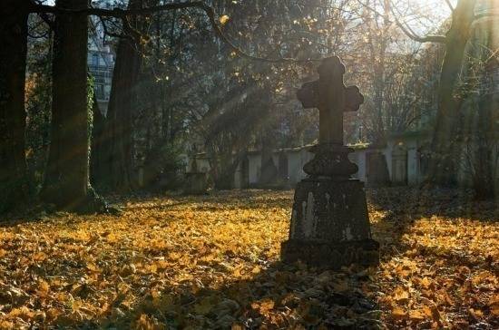 Максим Егоров - В правительство внесли законопроект, разрешающий частные кладбища - pnp.ru