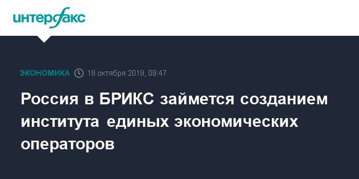 Сергей Сторчак - Россия в БРИКС займется созданием института единых экономических операторов - interfax.ru - Москва - Россия - Вашингтон - Бразилия