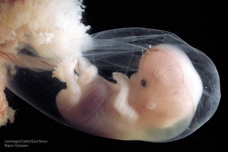 Ученые обнаружили у человеческого эмбриона наследие палеозоя - nation-news.ru - США