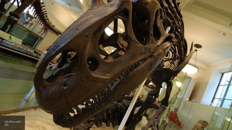 Ученые узнали силу сжатия челюсти тираннозавра&nbsp; - nation-news.ru