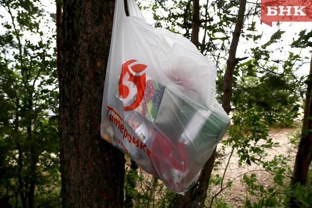 Виктор Бобыря - У жителей троицко-печорского поселка медведь украл мешок с мусором - bnkomi.ru