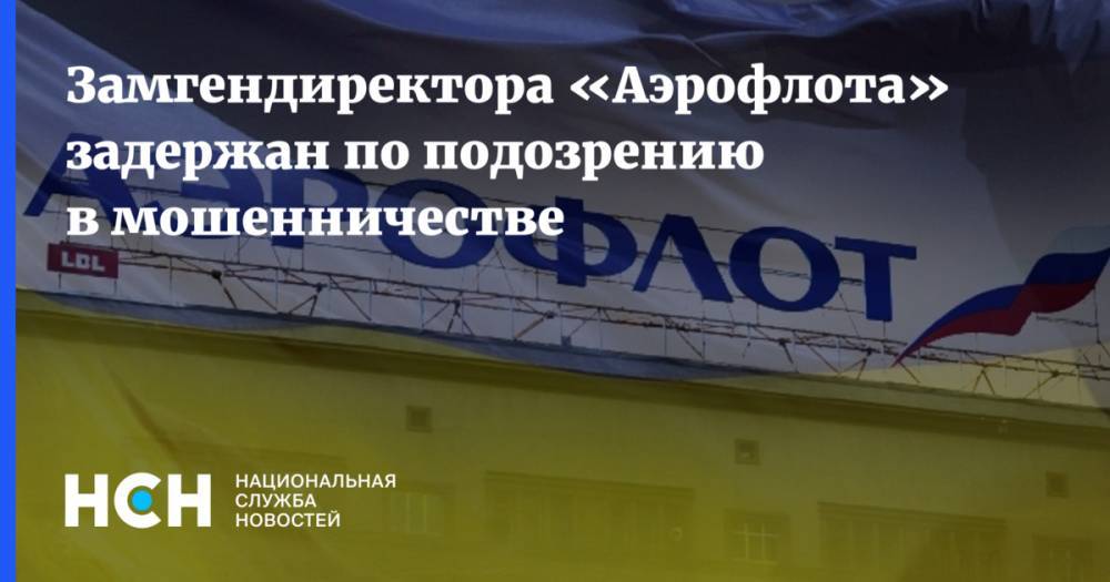 Владимир Александров - Замгендиректора «Аэрофлота» задержан по подозрению в мошенничестве - nsn.fm