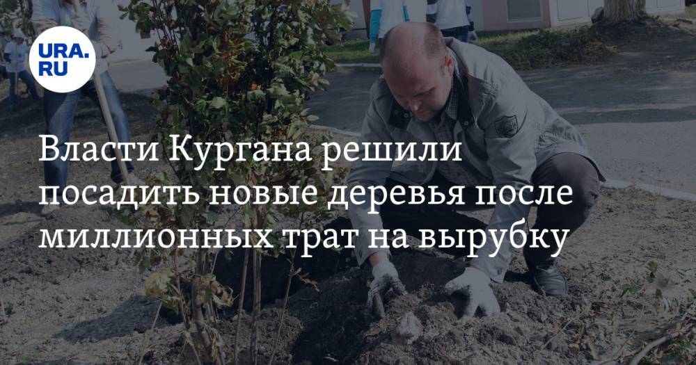 Андрей Потапов - Власти Кургана решили посадить новые деревья после миллионных трат на вырубку - ura.news
