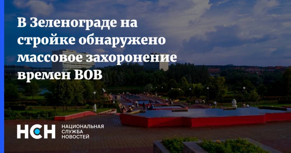 В Зеленограде на стройке обнаружено массовое захоронение времен ВОВ - nsn.fm - Москва - Россия - Зеленоград