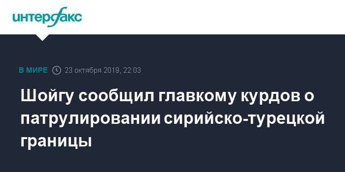 Сергей Шойгу - Шойгу сообщил главкому курдов о патрулировании сирийско-турецкой границы - interfax.ru - Москва - Россия - Сирия - Турция - Владимир Путин