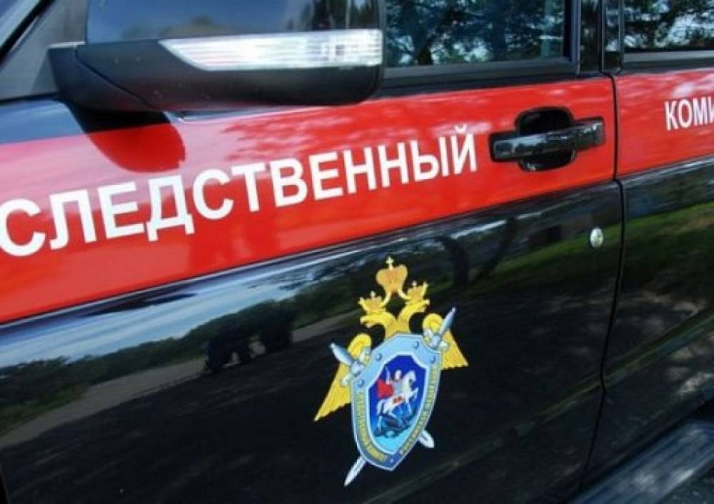 В Удорском районе мужчина убил сестру во время застолья - wvw.daily-inform.ru - район Удорский