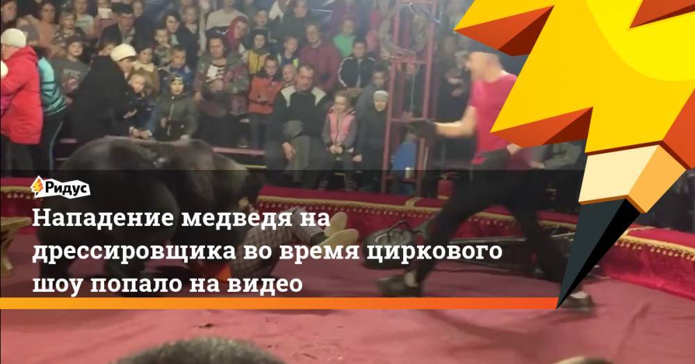 Нападения медведя на дрессировщика во время циркового шоу попало на видео - ridus.ru - Олонец