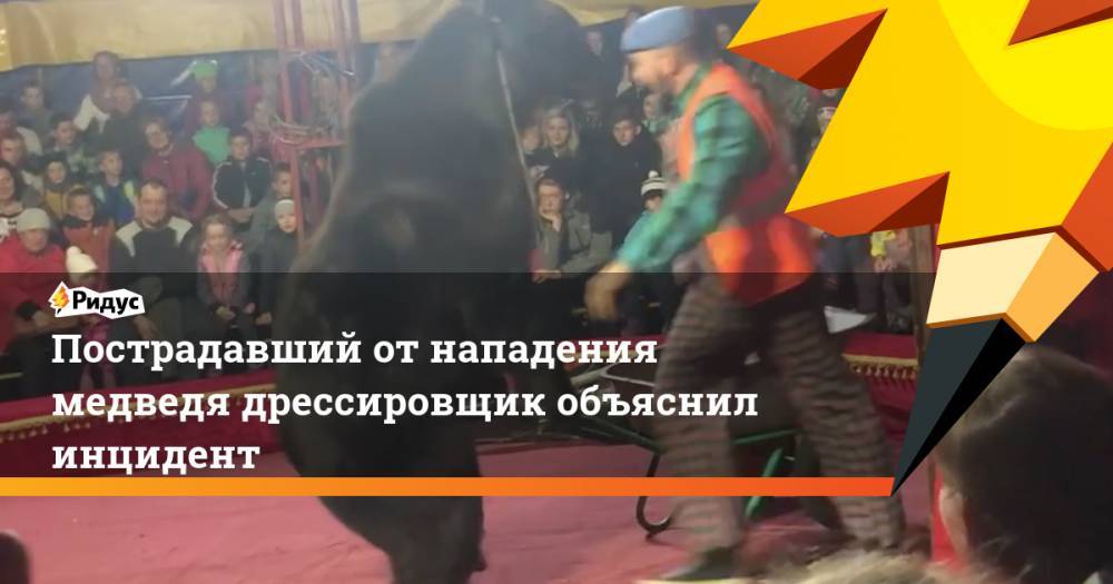 Пострадавший от нападения медведя дрессировщик объяснил инцидент - ridus.ru - Олонец