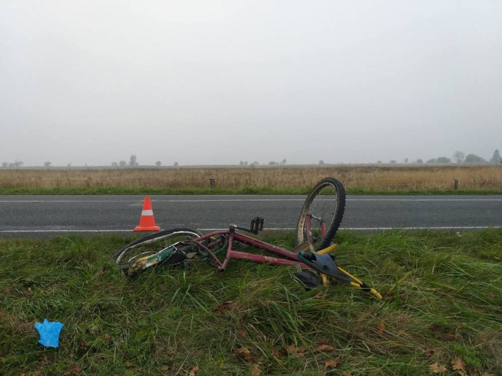 В Правдинском районе неизвестный сбил 35-летнего велосипедиста и скрылся - wvw.daily-inform.ru - Правдинск
