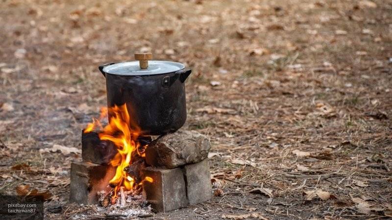 Сергиев Посад - 30 пикниковых зон появилось в Подмосковье по программе губернатора - nation-news.ru - Московская обл. - Красногорск - Можайск