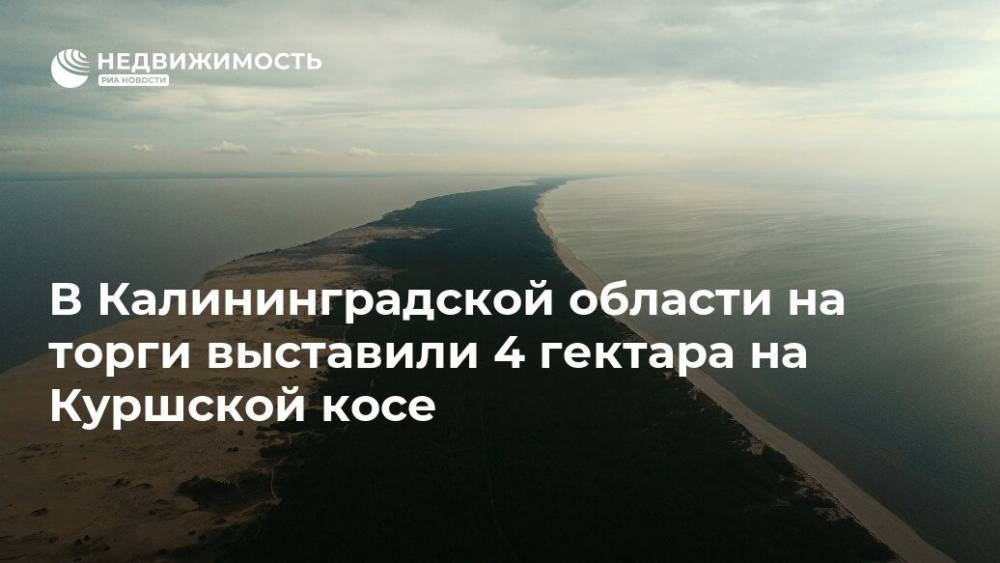 В Калининградской области на торги выставили 4 гектара на Куршской косе - realty.ria.ru - Москва - Калининградская обл.