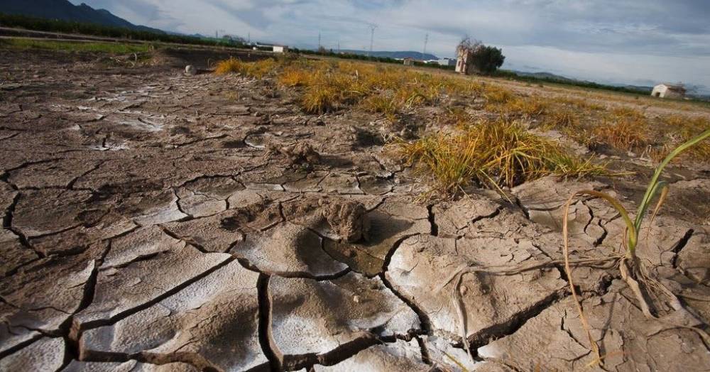 Земледелие вело к&nbsp;эрозии почв уже 40 веков назад - popmech.ru