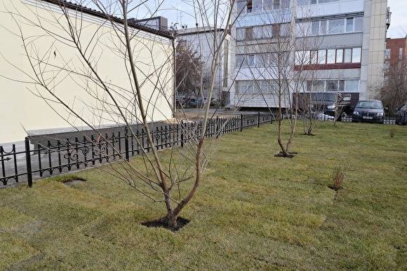 Андрей Потапов - В Кургане в сквере на Куйбышева — Томина уложили искусственный газон - znak.com