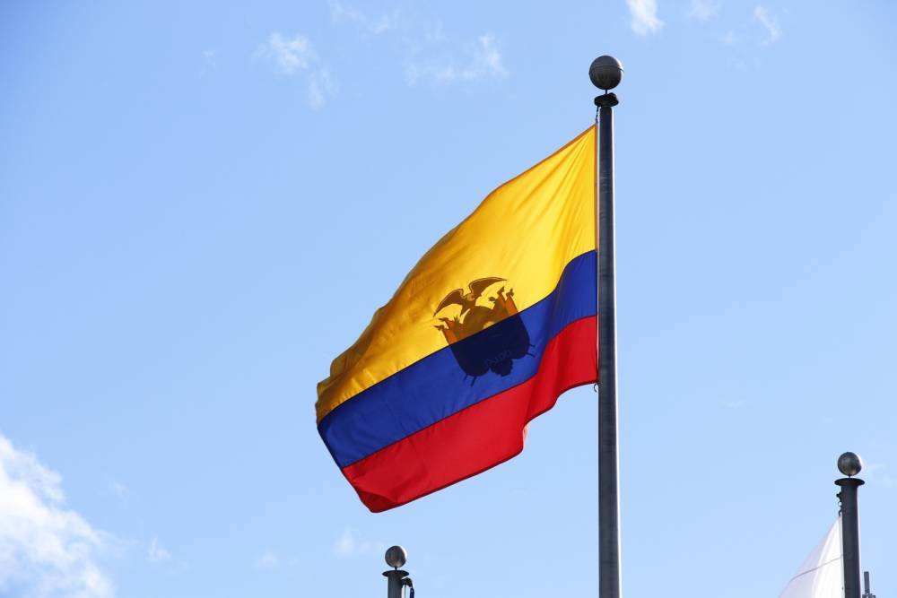 Морено Ленин - В Эквадоре объявили чрезвычайное положение из-за протестов - ren.tv - Эквадор
