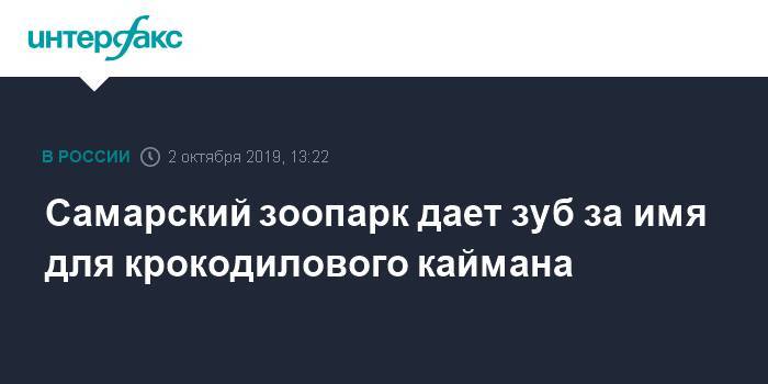 Самарский зоопарк дает зуб за имя для крокодилового каймана - interfax.ru - Москва
