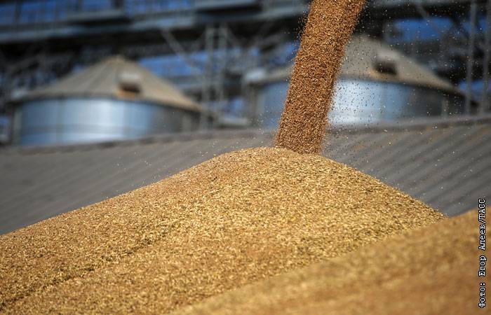 Егор Алеев - Продажи зерна российских аграриев за 8 месяцев снизились на 23% - interfax.ru - Москва - Россия