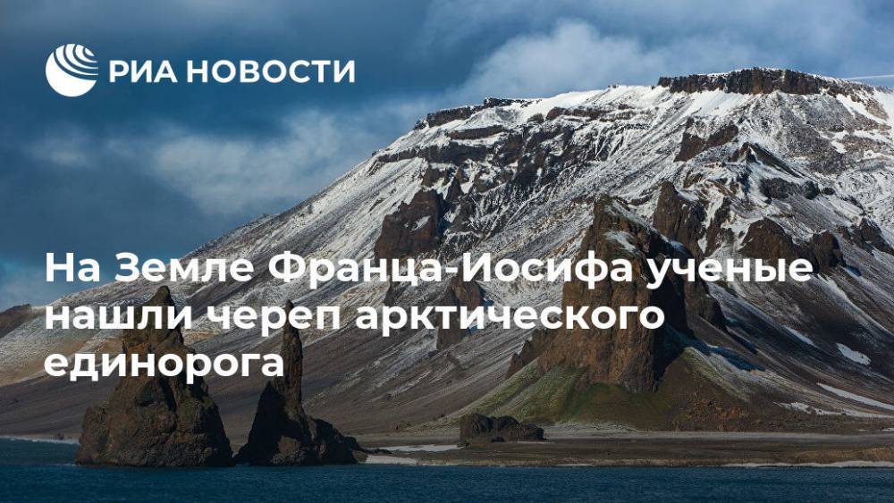 На Земле Франца-Иосифа ученые нашли череп арктического единорога - ria.ru - Москва