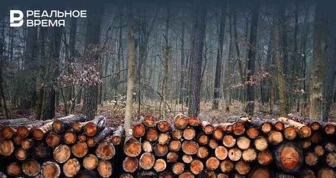 Ущерб из-за незаконной вырубки леса в Мамадышском районе Татарстана составил 5 млн рублей - realnoevremya.ru - район Мамадышский