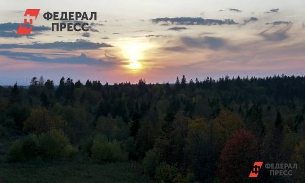 Сергей Морозов - Глеб Никитин - Копосовской дубраве в Нижнем Новгороде вернут особый статус - fedpress.ru - Нижегородская обл. - Нижний Новгород