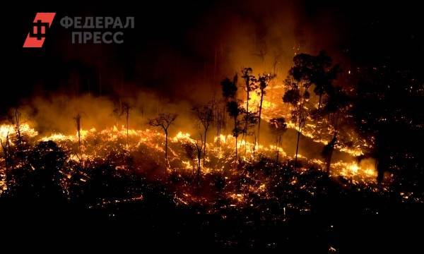 «Леса в Тольятти подожгли ублюдки, а спасли герои». Глава города собирается наградить волонтеров - fedpress.ru - Тольятти - Автоград