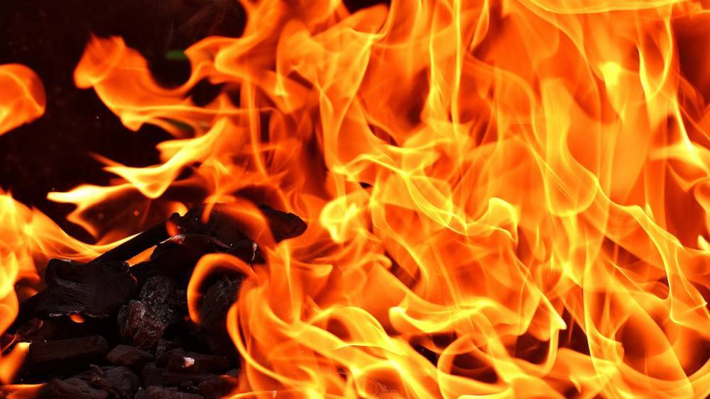 Спасатели эвакуировали человека из горящей заброшки в Зеленогорске - wvw.daily-inform.ru - Санкт-Петербург - Зеленогорск