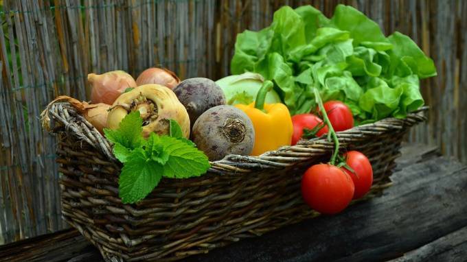 Ученые: сырые овощи могут навредить кишечнику - piter.tv