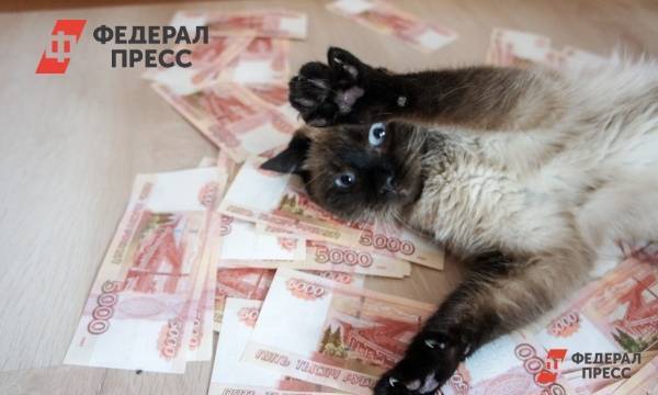 Ульяновск оказался в аутсайдерах рейтинга зарплат - fedpress.ru - Россия - Ульяновск - Ульяновск