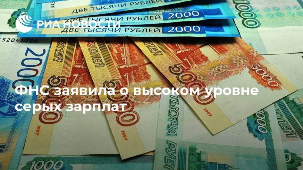 Светлана Бондарчук - ФНС заявила о высоком уровне "серых" зарплат - ria.ru - Россия