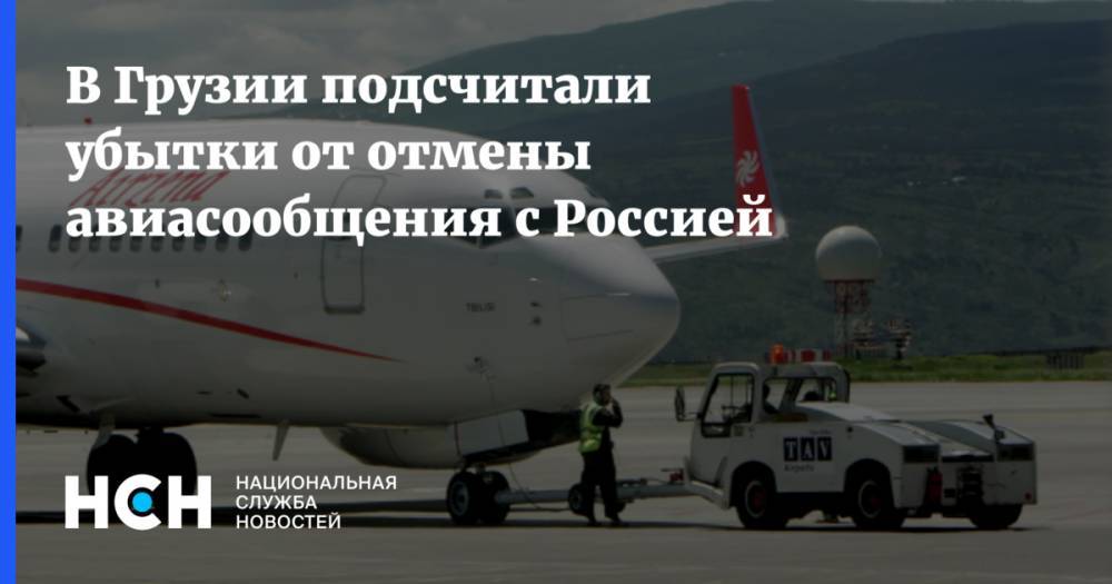 Мариам Квривишвили - В Грузии подсчитали убытки от отмены авиасообщения с Россией - nsn.fm - Россия - Грузия