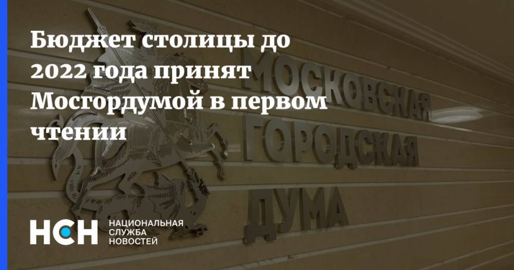 Елена Зяббарова - Бюджет столицы до 2022 года принят Мосгордумой в первом чтении - nsn.fm - Москва