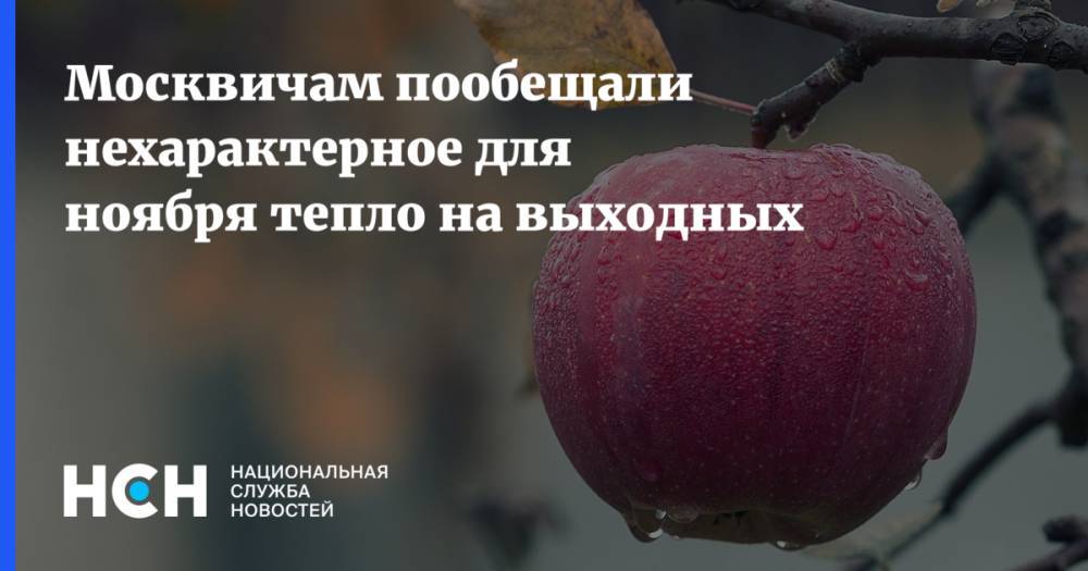 Марина Макарова - Москвичам пообещали нехарактерное для ноября тепло на выходных - nsn.fm - Москва - Россия
