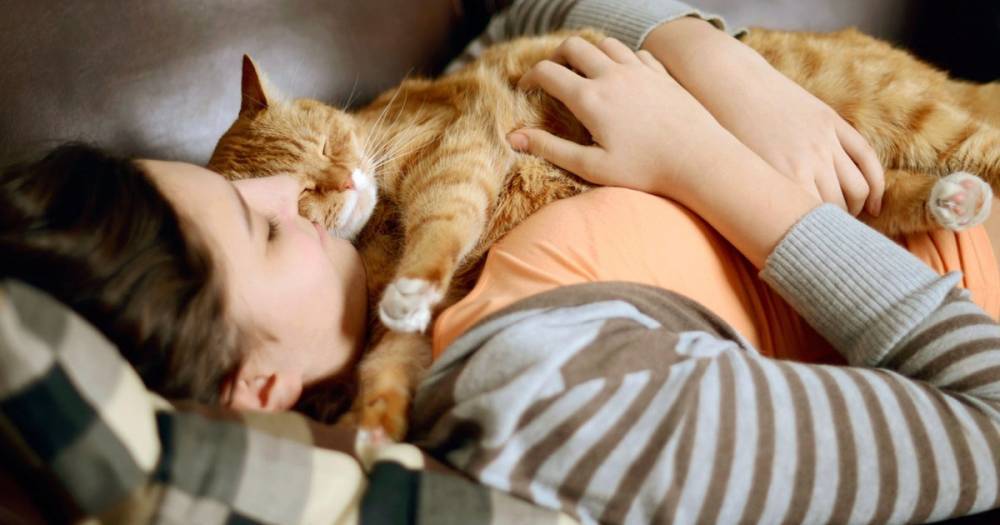Почему кошка спит в ногах или на груди хозяина? - readovka.news