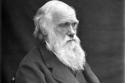 Чарльз Дарвин - Опровергнута гипотеза Дарвина о зарождении жизни - lenta.ru - New York - Англия - Лондон